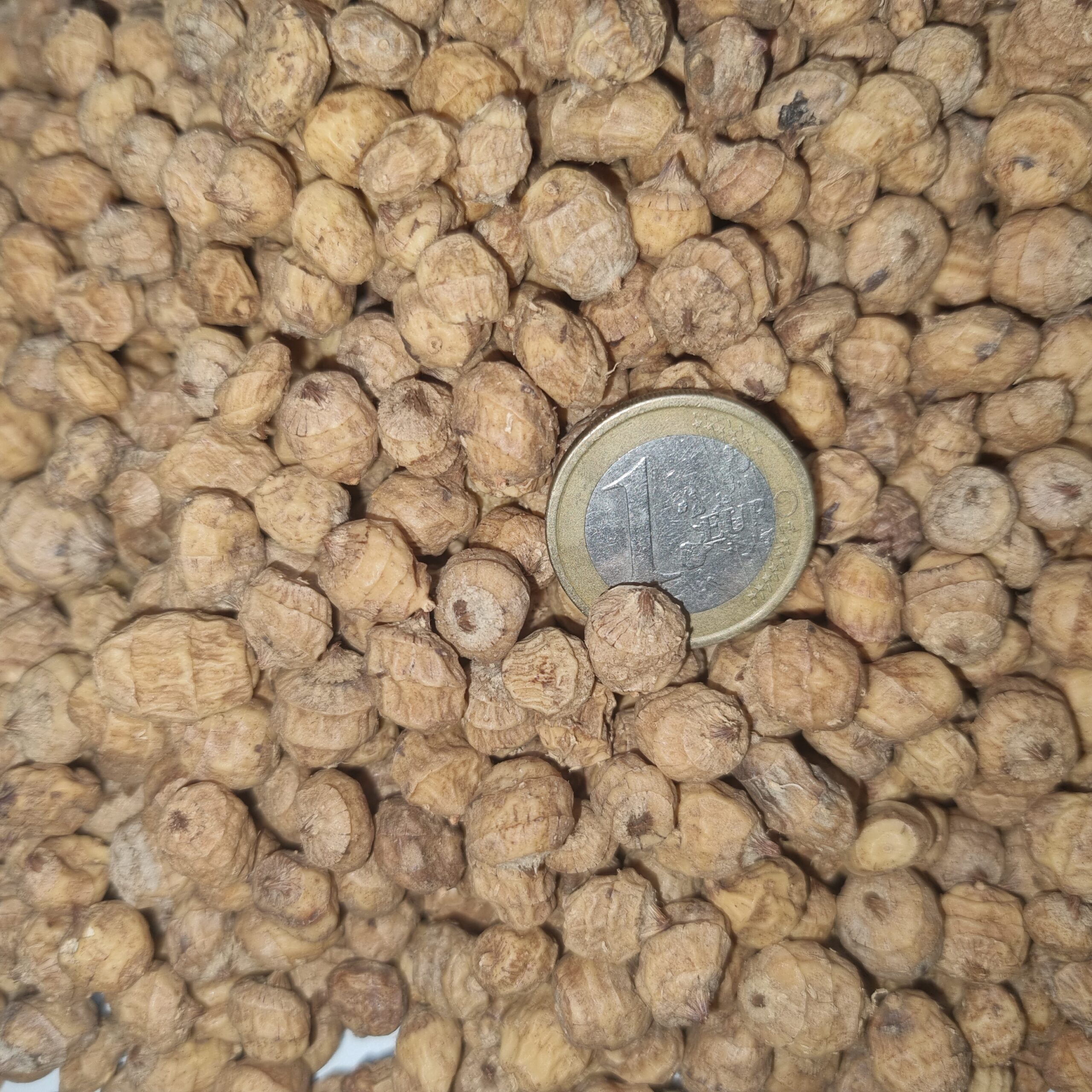 Standard Tigernut – Baitsinfinity