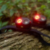 RidgeMonkey VRH150X Pro USB Rechargeable Headtorch - Slika 5